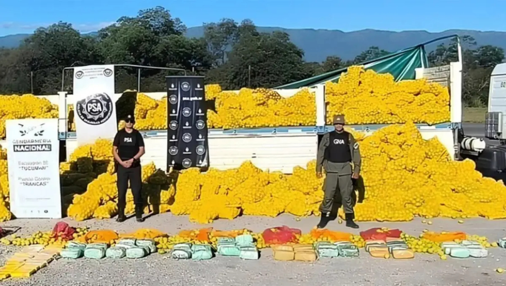 La tétrica sombra de los cárteles mexicanos asoma detrás el hallazgo de droga oculta en un cargamento de limones en el norte tucumano